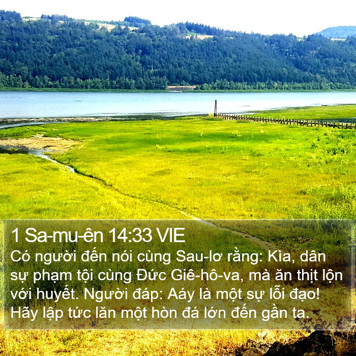 1 Sa-mu-ên 14:33 VIE Bible Study