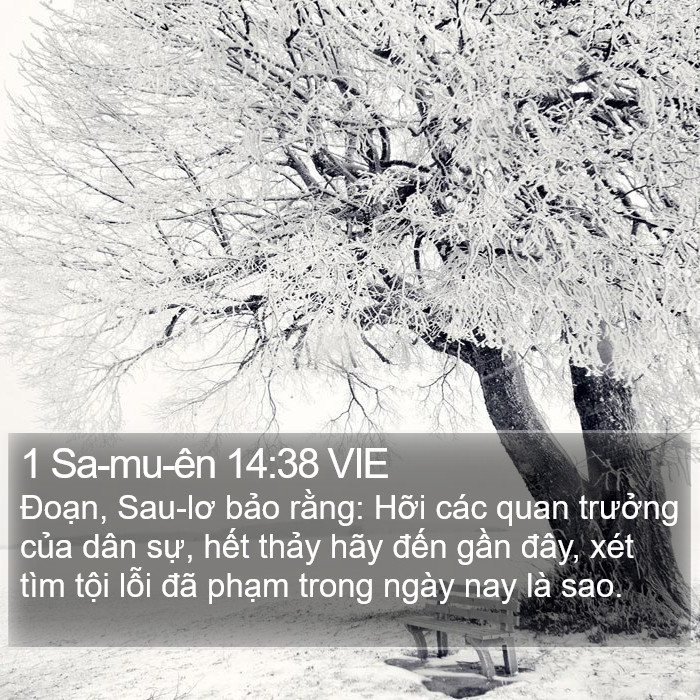 1 Sa-mu-ên 14:38 VIE Bible Study