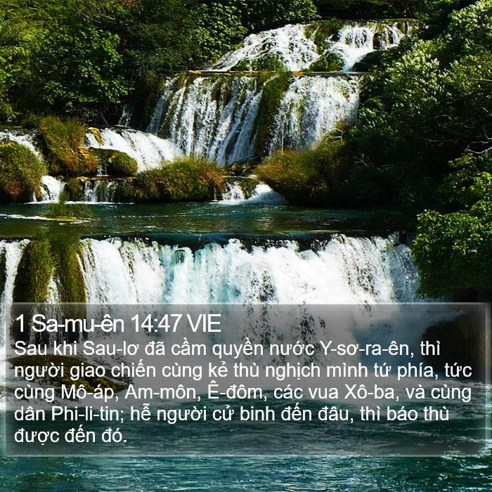 1 Sa-mu-ên 14:47 VIE Bible Study