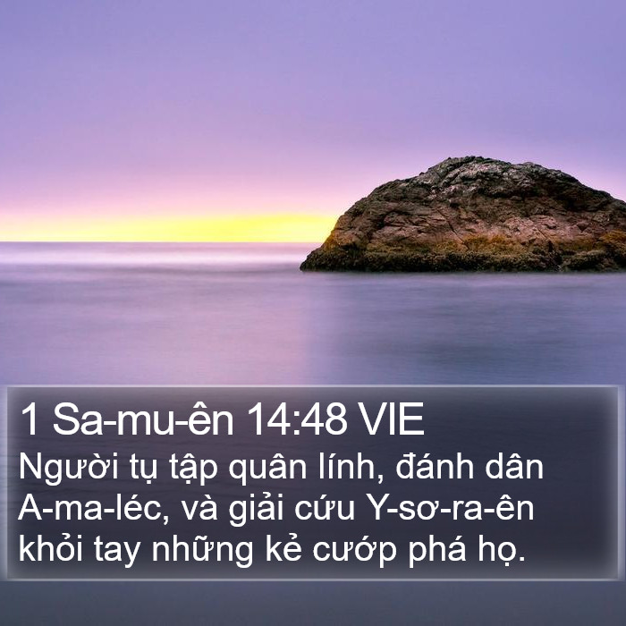 1 Sa-mu-ên 14:48 VIE Bible Study