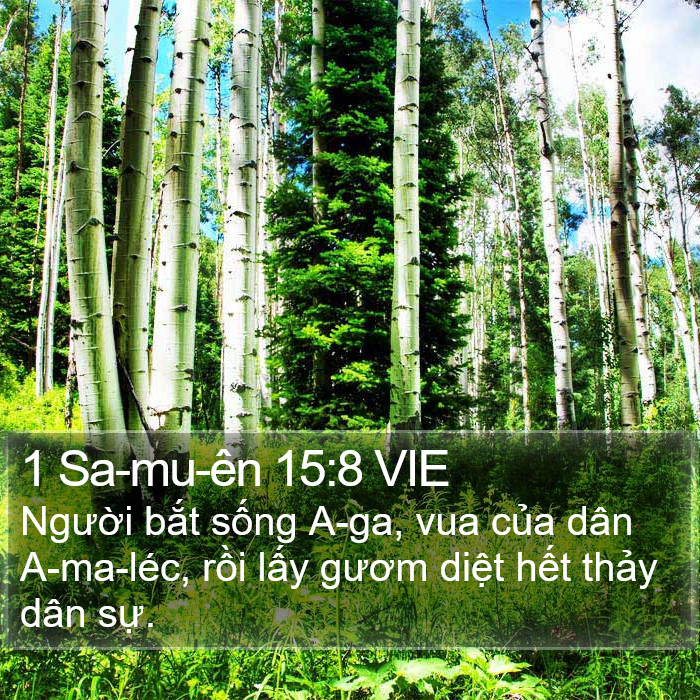 1 Sa-mu-ên 15:8 VIE Bible Study