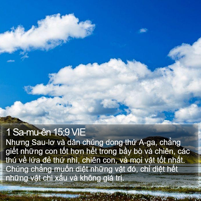 1 Sa-mu-ên 15:9 VIE Bible Study