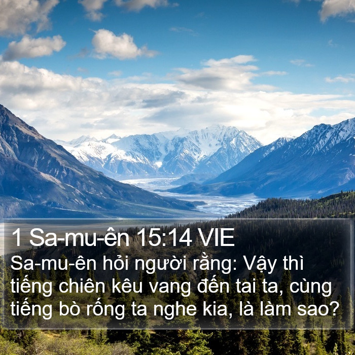 1 Sa-mu-ên 15:14 VIE Bible Study