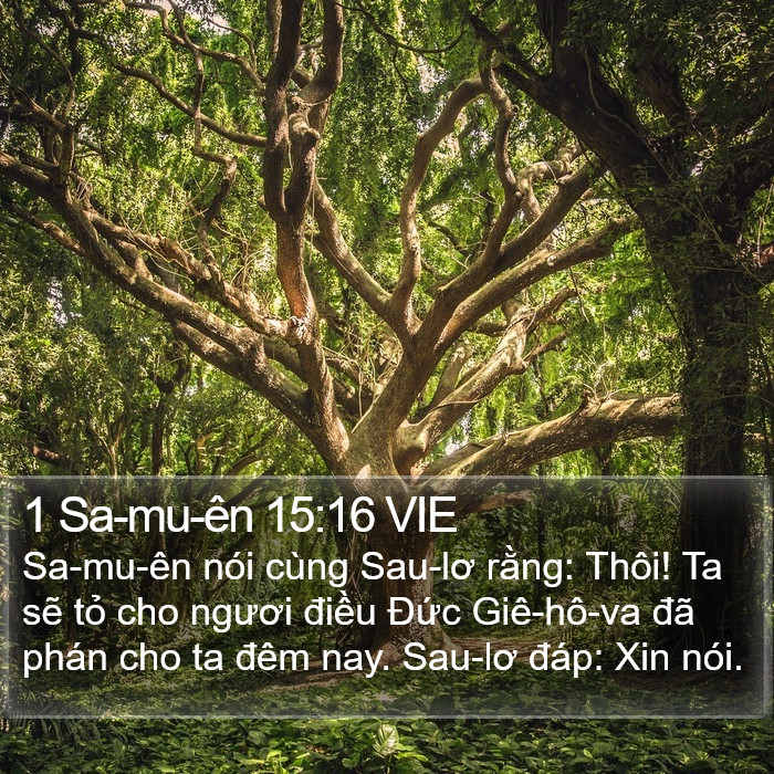 1 Sa-mu-ên 15:16 VIE Bible Study