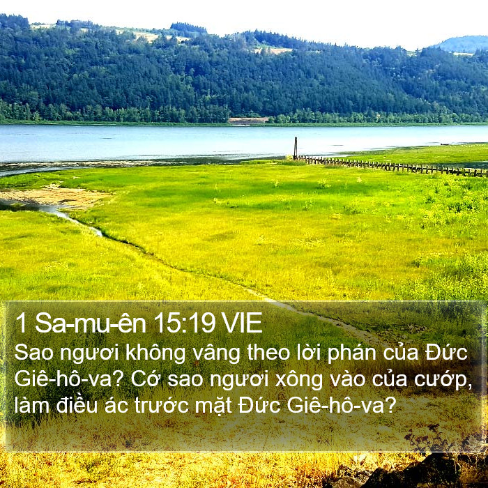 1 Sa-mu-ên 15:19 VIE Bible Study