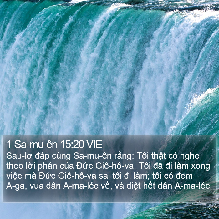 1 Sa-mu-ên 15:20 VIE Bible Study