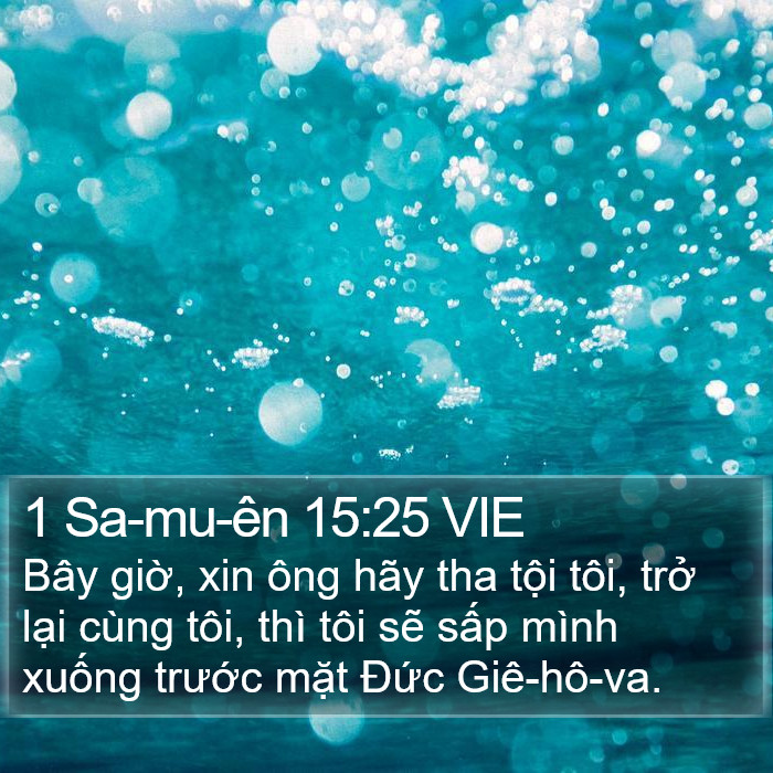 1 Sa-mu-ên 15:25 VIE Bible Study