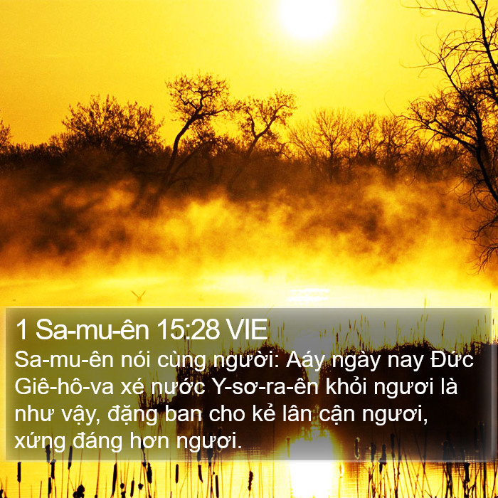 1 Sa-mu-ên 15:28 VIE Bible Study