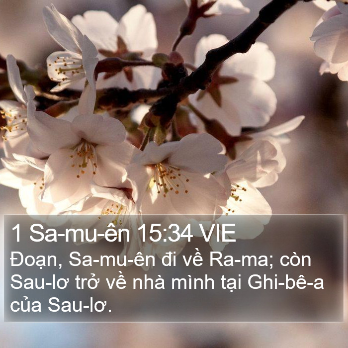 1 Sa-mu-ên 15:34 VIE Bible Study