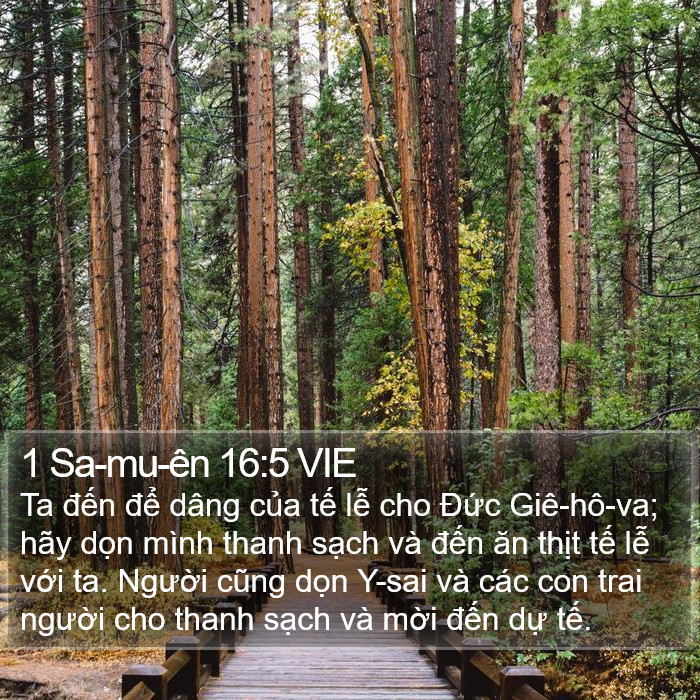 1 Sa-mu-ên 16:5 VIE Bible Study