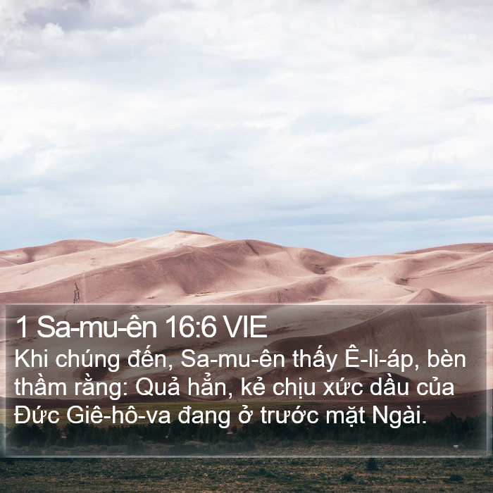 1 Sa-mu-ên 16:6 VIE Bible Study