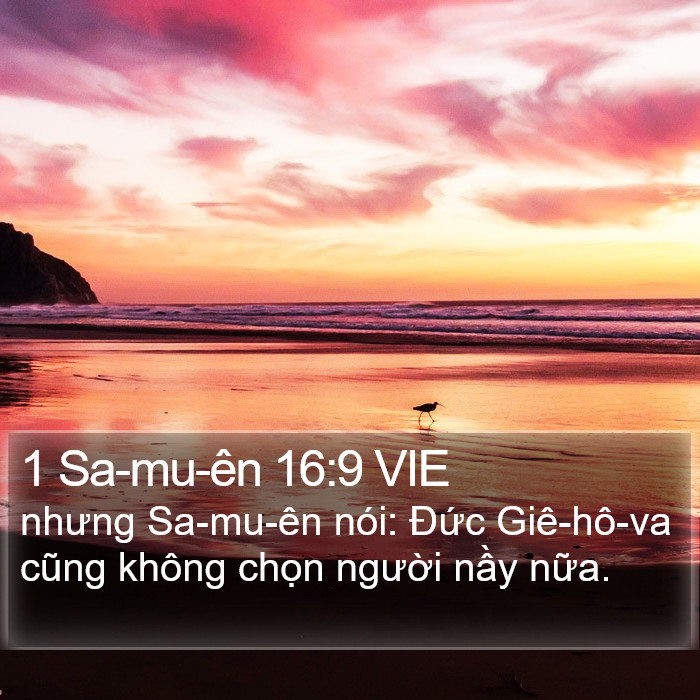 1 Sa-mu-ên 16:9 VIE Bible Study