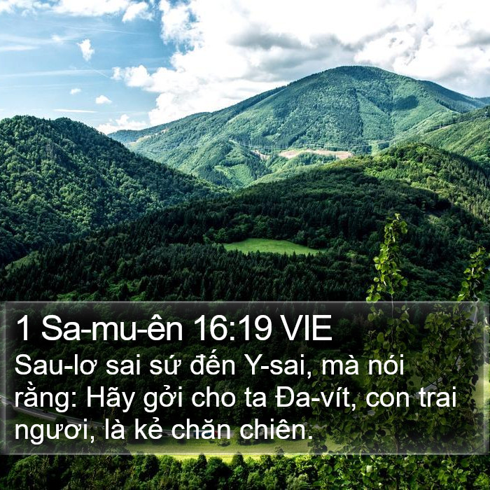 1 Sa-mu-ên 16:19 VIE Bible Study