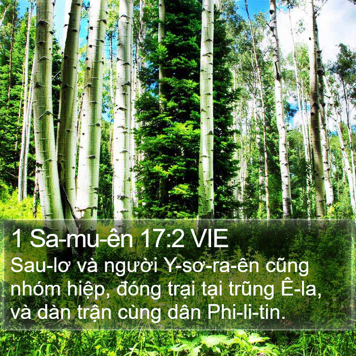 1 Sa-mu-ên 17:2 VIE Bible Study