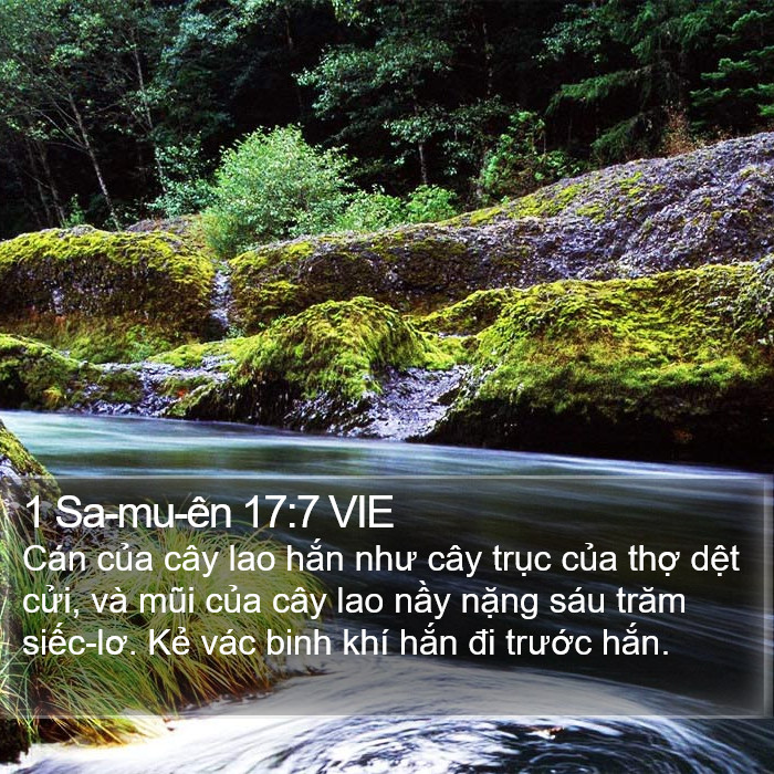 1 Sa-mu-ên 17:7 VIE Bible Study