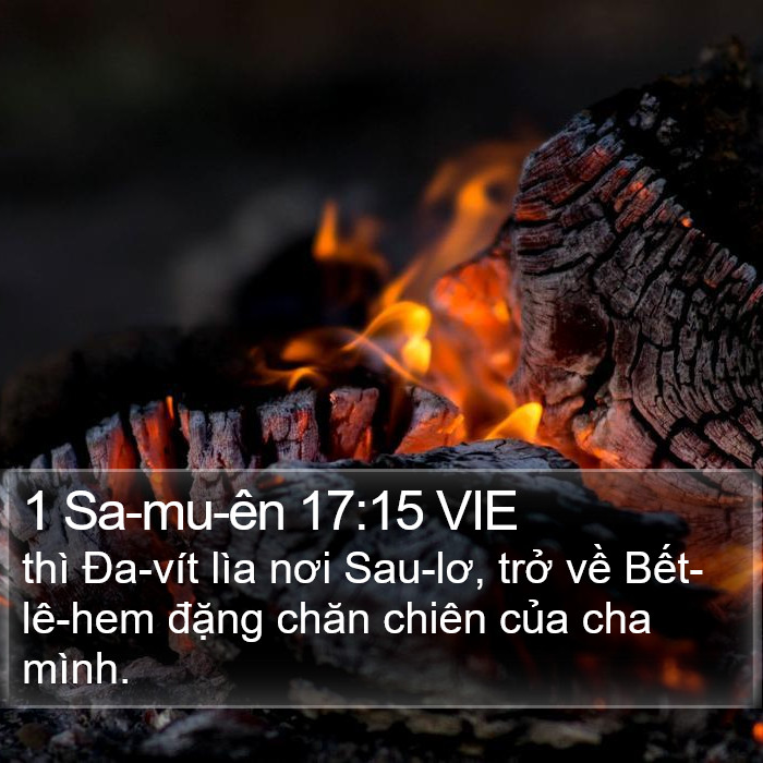 1 Sa-mu-ên 17:15 VIE Bible Study