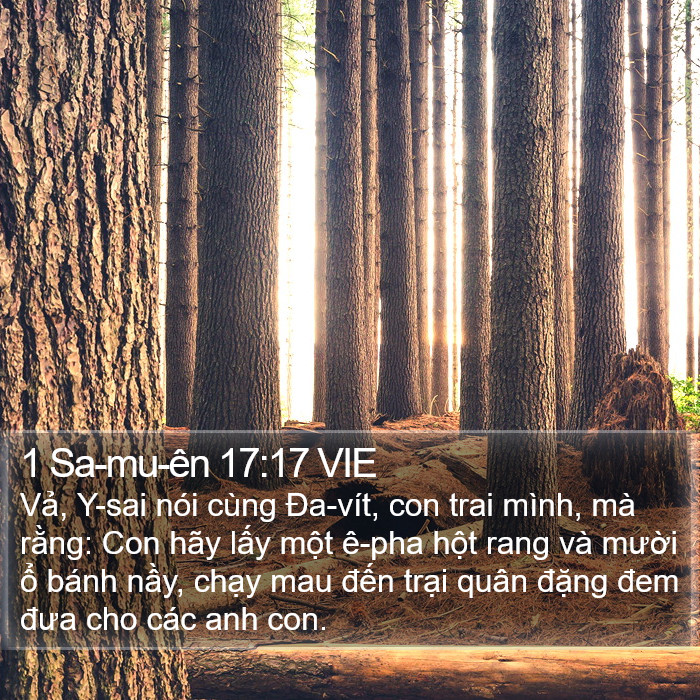 1 Sa-mu-ên 17:17 VIE Bible Study