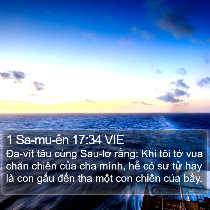 1 Sa-mu-ên 17:34 VIE Bible Study