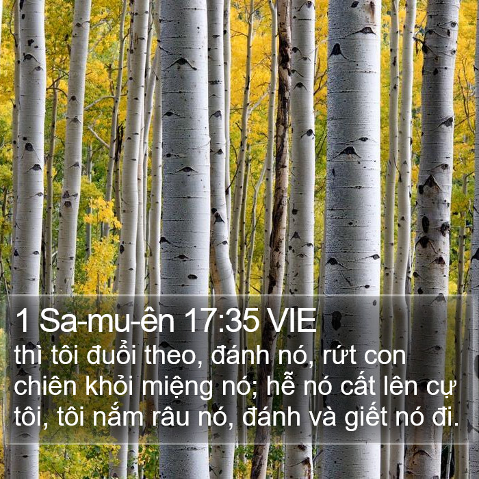 1 Sa-mu-ên 17:35 VIE Bible Study