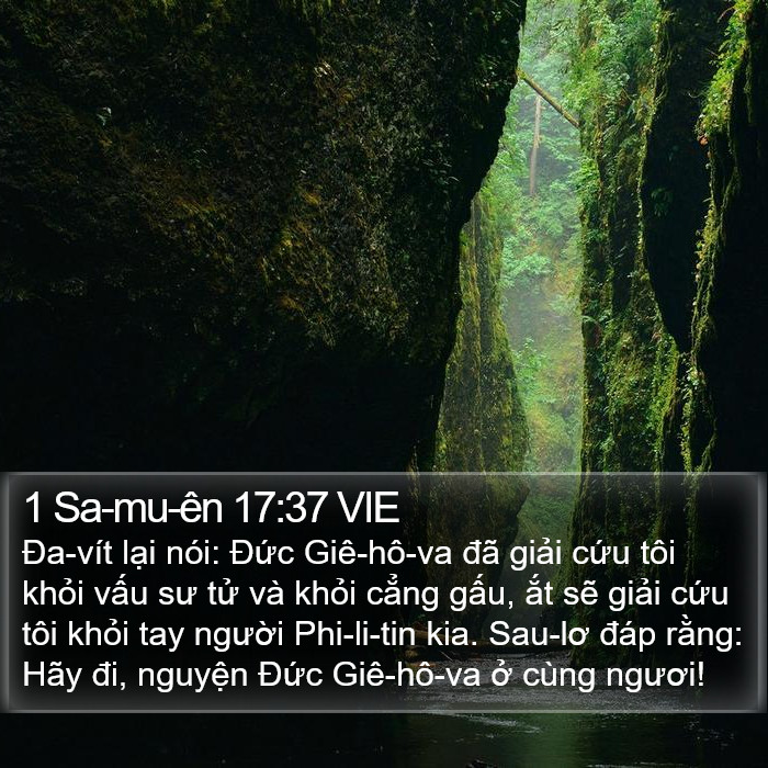 1 Sa-mu-ên 17:37 VIE Bible Study