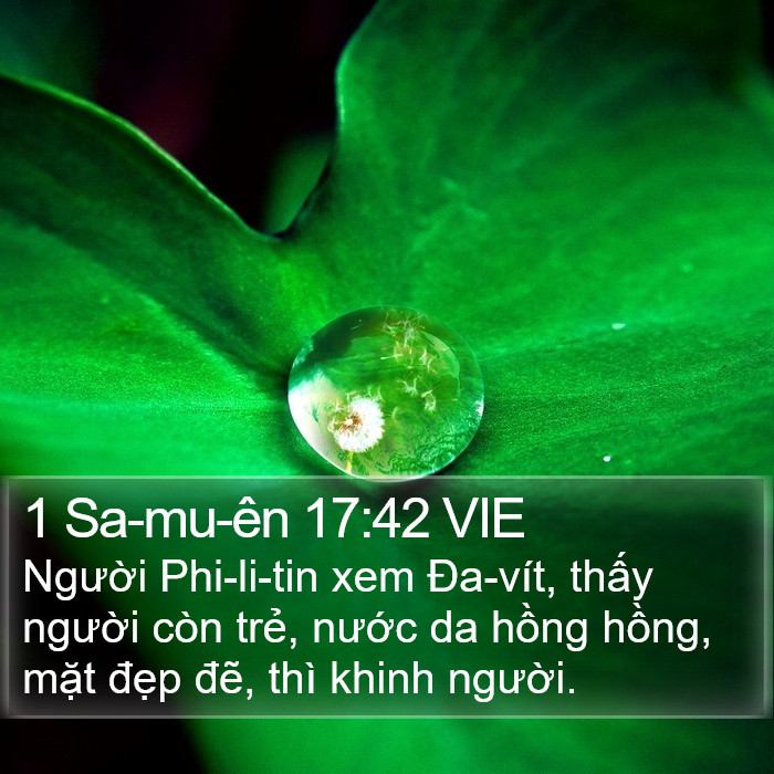 1 Sa-mu-ên 17:42 VIE Bible Study