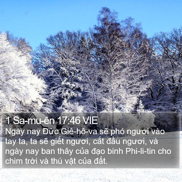 1 Sa-mu-ên 17:46 VIE Bible Study