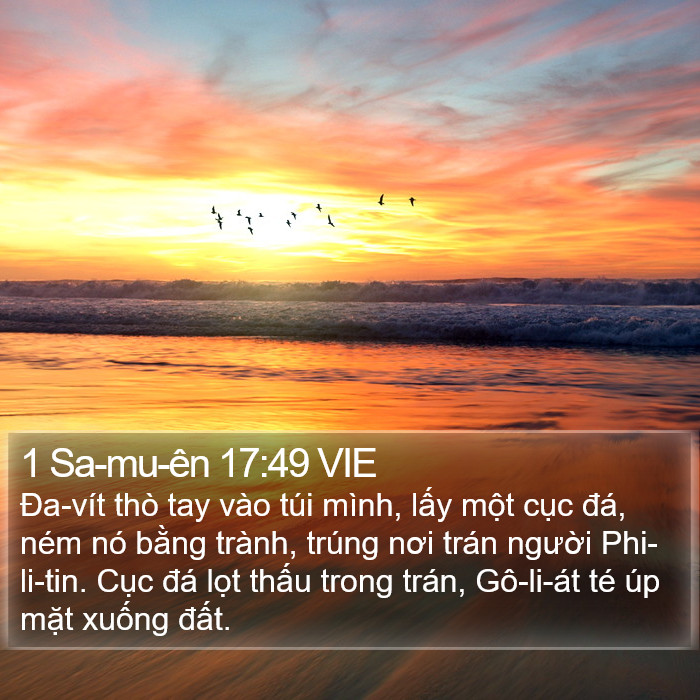 1 Sa-mu-ên 17:49 VIE Bible Study