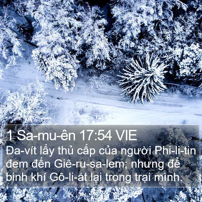 1 Sa-mu-ên 17:54 VIE Bible Study