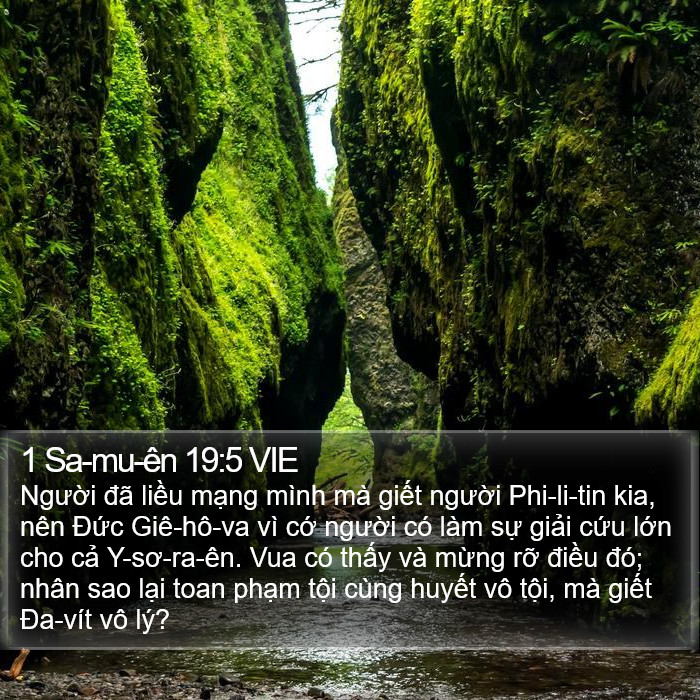 1 Sa-mu-ên 19:5 VIE Bible Study