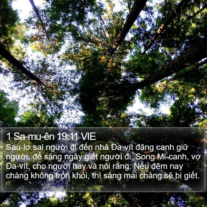 1 Sa-mu-ên 19:11 VIE Bible Study