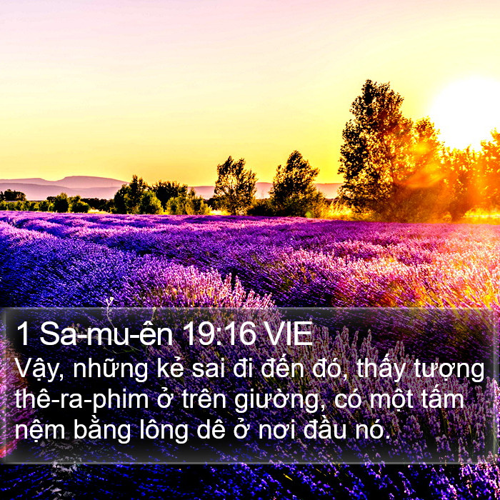 1 Sa-mu-ên 19:16 VIE Bible Study