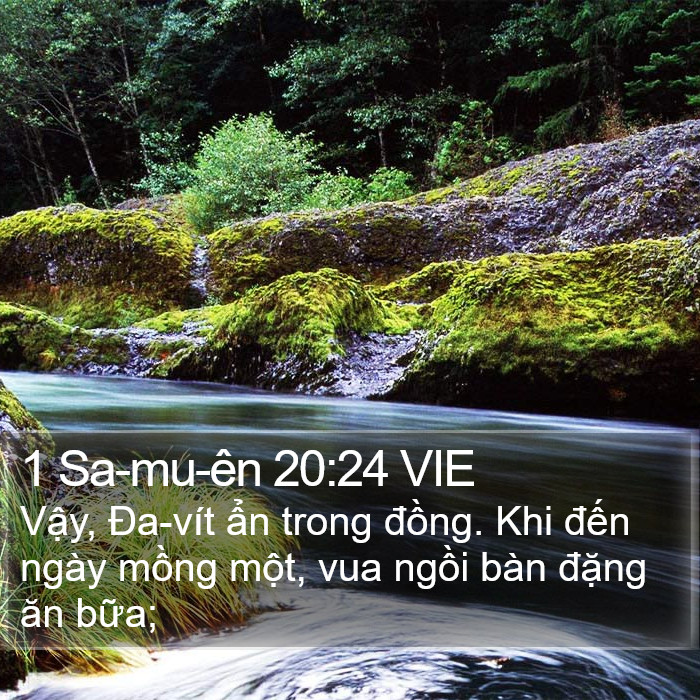 1 Sa-mu-ên 20:24 VIE Bible Study