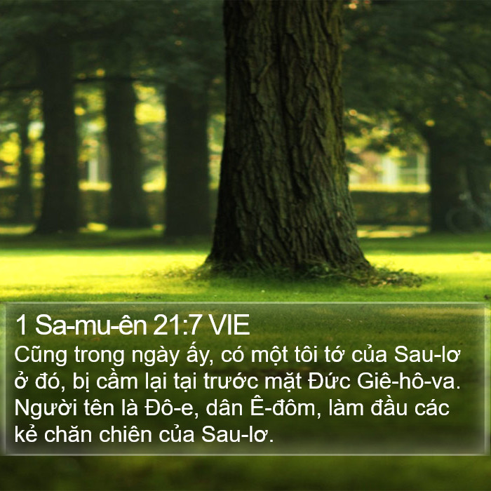 1 Sa-mu-ên 21:7 VIE Bible Study