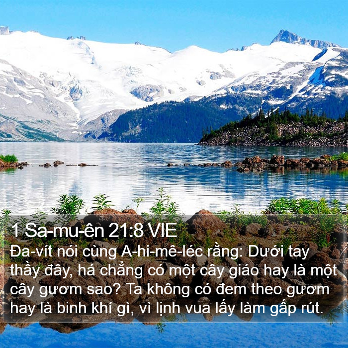 1 Sa-mu-ên 21:8 VIE Bible Study