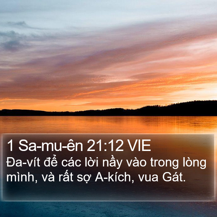 1 Sa-mu-ên 21:12 VIE Bible Study