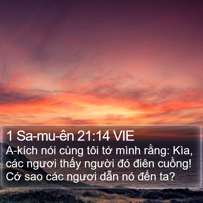 1 Sa-mu-ên 21:14 VIE Bible Study