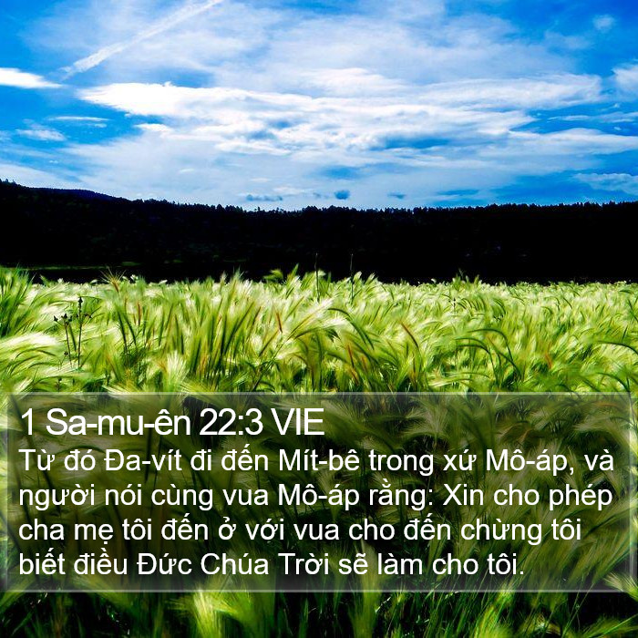 1 Sa-mu-ên 22:3 VIE Bible Study