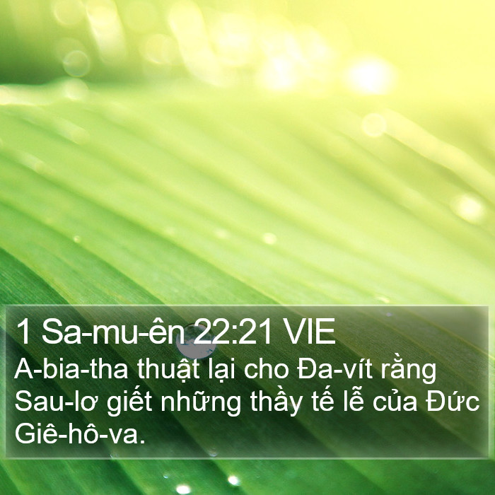 1 Sa-mu-ên 22:21 VIE Bible Study