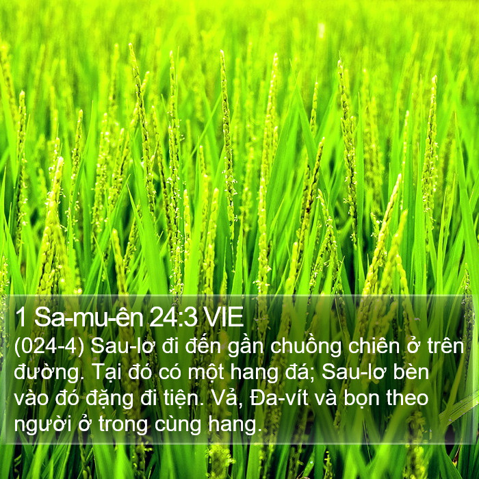 1 Sa-mu-ên 24:3 VIE Bible Study