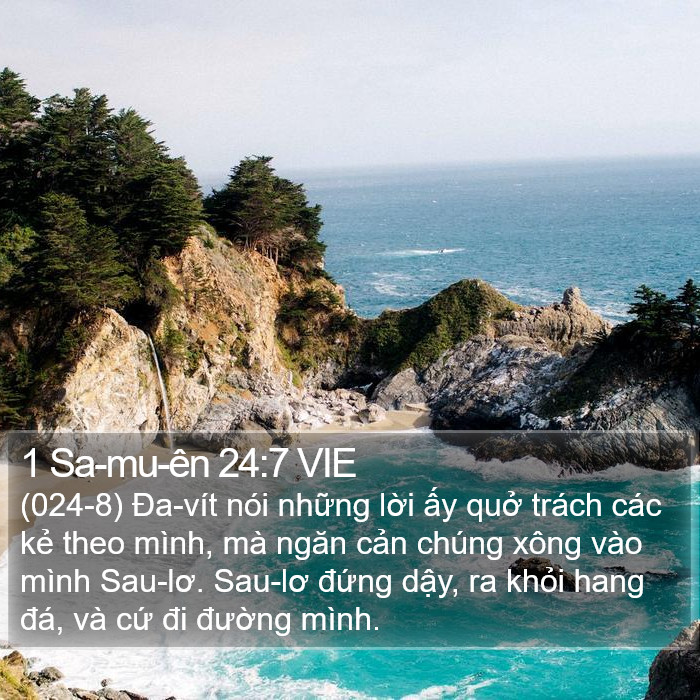 1 Sa-mu-ên 24:7 VIE Bible Study