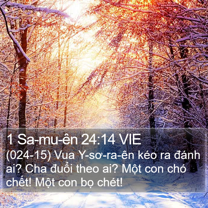 1 Sa-mu-ên 24:14 VIE Bible Study