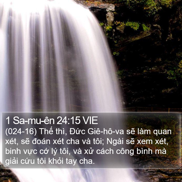 1 Sa-mu-ên 24:15 VIE Bible Study