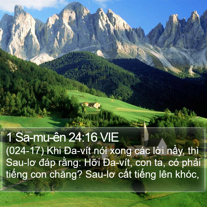 1 Sa-mu-ên 24:16 VIE Bible Study