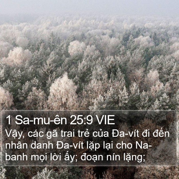 1 Sa-mu-ên 25:9 VIE Bible Study