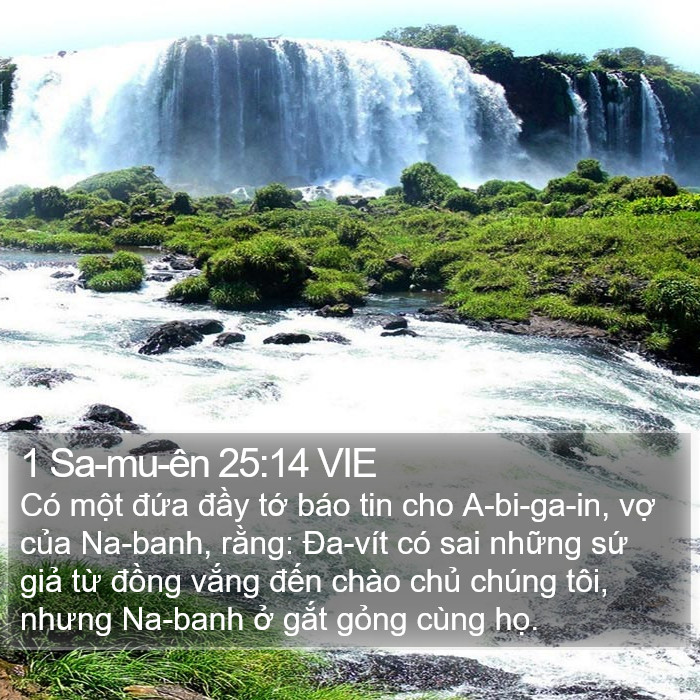 1 Sa-mu-ên 25:14 VIE Bible Study