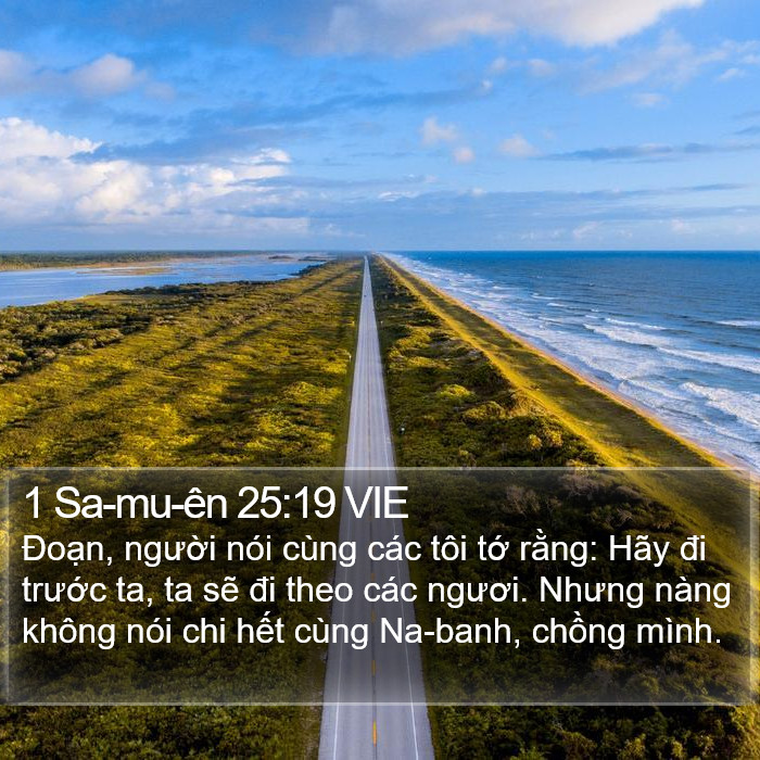 1 Sa-mu-ên 25:19 VIE Bible Study