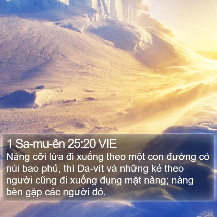 1 Sa-mu-ên 25:20 VIE Bible Study