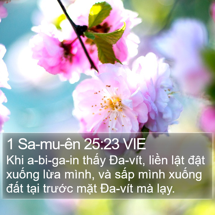 1 Sa-mu-ên 25:23 VIE Bible Study