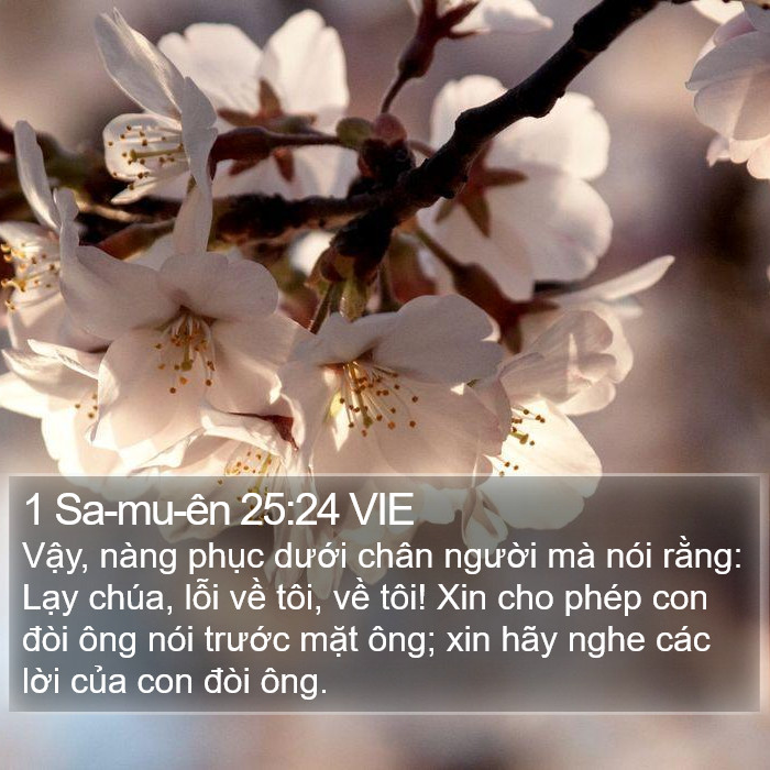 1 Sa-mu-ên 25:24 VIE Bible Study