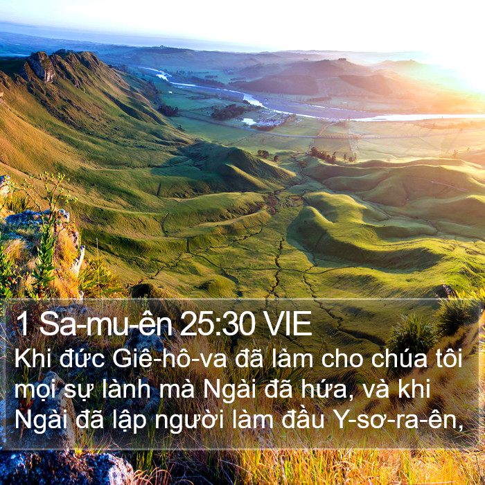 1 Sa-mu-ên 25:30 VIE Bible Study